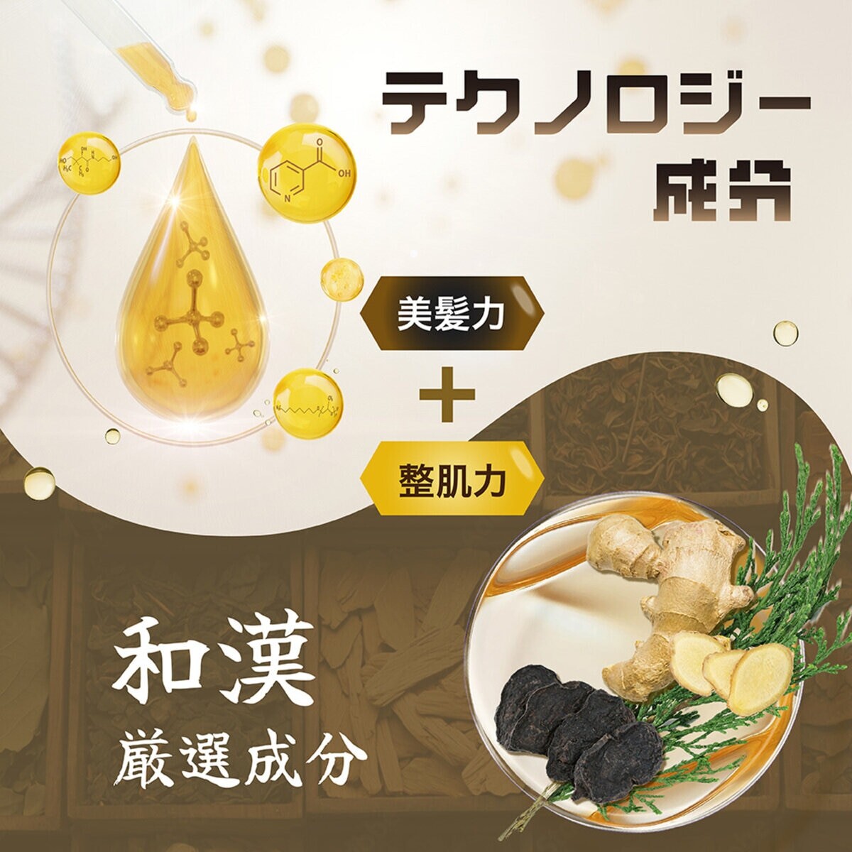 Seika 全 シャンプー 400ml x 2本 頭皮ケア 泡立ち 毎日使い