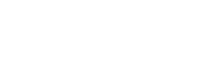 Revidex
